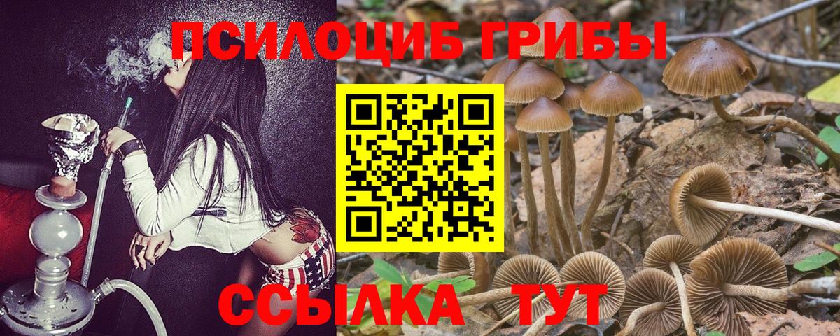 Галлюциногенные грибы мухоморы Норильск