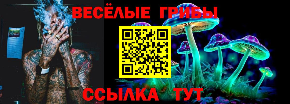 Норильск  Псилоцибиновые грибы MAGIC MUSHROOMS  Вход с VPN  Псилоцибиновые грибы GOLDEN TEACHER 